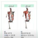 청아피부체형관리실
