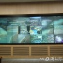 하천감시 CCTV 이미지