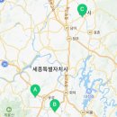 대전고양이분양 퍼피댕 캣 안심분양소 둔산점 이미지