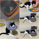 UR(파주시)-[심학산로]-하-11 | [파주 롯데 아울렛 맛집] 오리전문점 심학산 뚱오리!