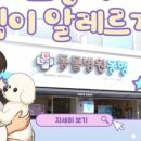 도곡동행동물병원 이미지