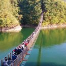 북적이는 시니어 힐링 명소 옥순봉 출렁다리 이미지