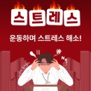 청솔태권도 이미지