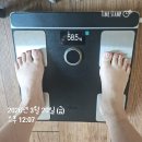 대사 | 먼투프 5일 프로그램 후기 대사 리셋으로 체질 변화까지 경험하기