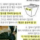 오리털점퍼(패딩)세탁&보관Tip 이미지