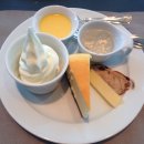 신라스테이 동탄 이미지