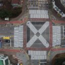 산양초등학교 사거리(산양초) 이미지