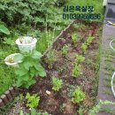 수남초병설유치원 이미지