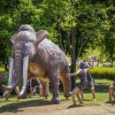 구석기체험숲2 이미지