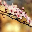 김선태농장 이미지