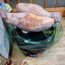 송림민속가든 | 부산 금강공원과 금정산 남문일대 가을 낭만 힐링 트레킹 포토기