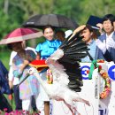 자연에 품 이미지