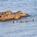 충무사랑병원 이미지