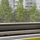 경희대 수호 태권도장 이미지