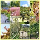 숲속 마사터널아지트 복합문화공간 | 경기도 광주 곤지암 화담숲 예약 단풍 시기 실시간 모노레일