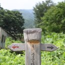 금계농로 티스토리