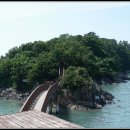 바다소나무 이미지