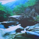 구룡계곡 순환코스 이미지