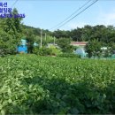 한천보건진료소 이미지