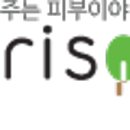 누리라인 네이버블로그