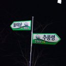 백두대간 74-19 추풍령. 황악산. 우두령 2024-03-09 이미지