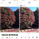 서평상가 | 일상 이것저것