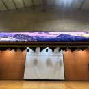 학교형태 이미지