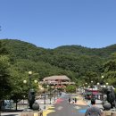 사계절레저 | 증평 벨포레 놀이동산,사계절 썰매장 다녀온 후기 ! 청주 근교 충북 아이와 주말 가볼만한곳 추천