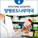 양평포도나무약국 네이버블로그