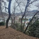 상록수공원 네이버블로그