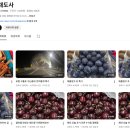 야채도사과일도사 - 해운대구 세실로 87 | 야채도사과일도사