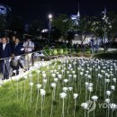 인도네시아정원