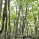 밀양고등학교 이미지