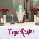 레지오 마리애 (Legio Mariae) 이미지