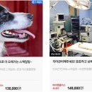 반포자이동물병원 이미지