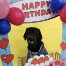 태담이네 하우스 이미지