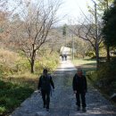 화산체육공원2 이미지