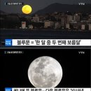 블루문 - 울주군 온양로 162-11 | 블루문