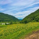 검산 농장 이미지