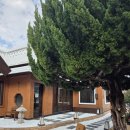 그해거제 | 거제 지세포 그해거제 카페 내돈내산 솔직후기