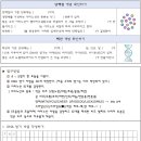 DNA(염기서열) &amp; 단백질(아미노산서열) - 비즈팔찌 만들기 이미지