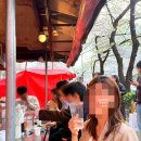 영이네 | 서울 벚꽃 야장 마포 공덕 염리초 포장마차 2호 영이네 포차 솔직 후기