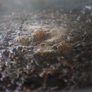 자연이 만들어 준 약재 이미지