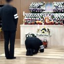상조 - 마포구 대흥로 102-1 | 상조