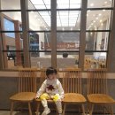 샤론헤어센스
