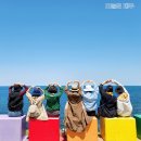 유한회사 제주의소리 | 제주도 스타리아 렌트 제주 자유 여행 대절 대여 후기