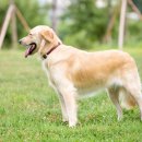 장유동물병원 이미지