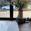 야무지개횟집 | 제주도 여행: 2박 3일 라스트 댄스(큰일집 갈치조림, 보롬왓, 우도,제주도 레일바이크, 유채꽃밭...