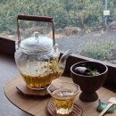 산책길(반려동물 미용실) 이미지