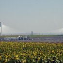 세비야태양광발전소 이미지